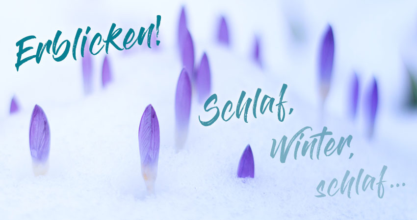 Frühlings-Check